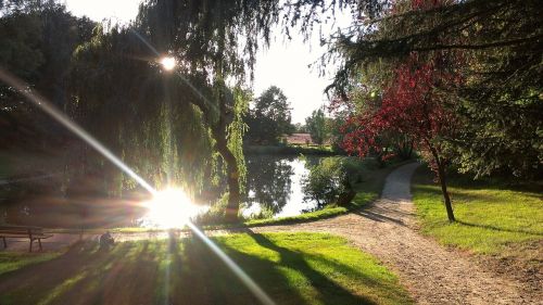 pond lake landscape