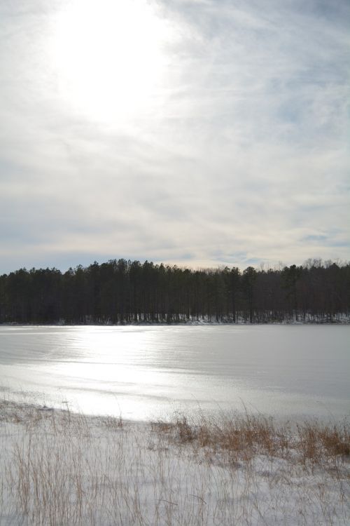 pond frozen ice