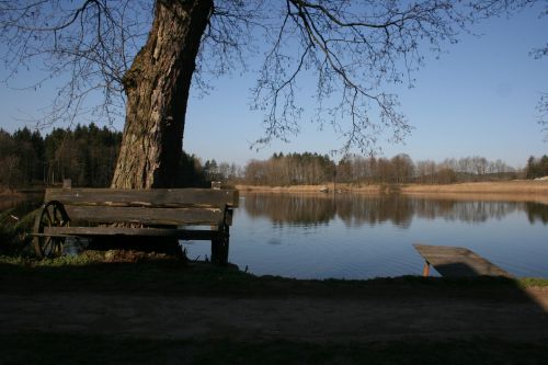 pond bench nature