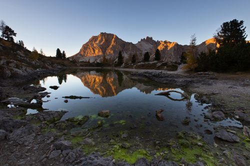 pond puddle water