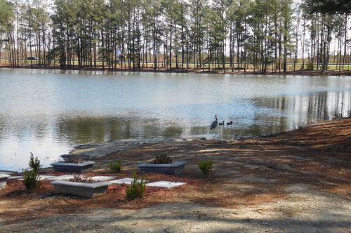 pond lake water