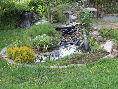 pond backyard garden
