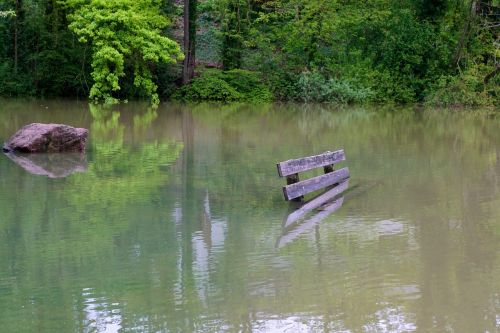 pond water high water