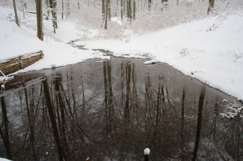 pond lake winter