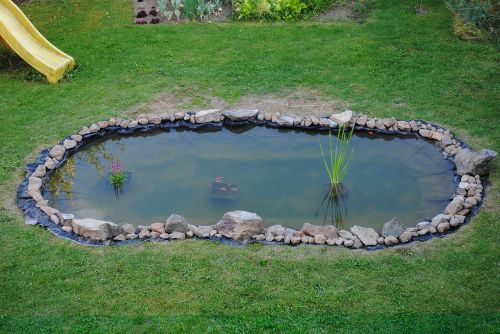 pond garden water