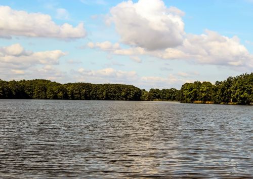 pond water landscape