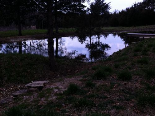 Pond At Dusk