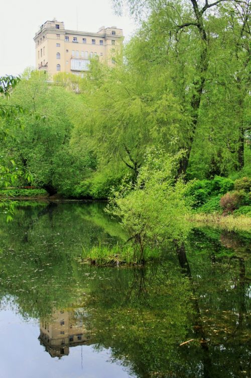 Pond, Botanical Gardens, Moscow