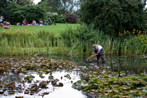 pond clearing man waders