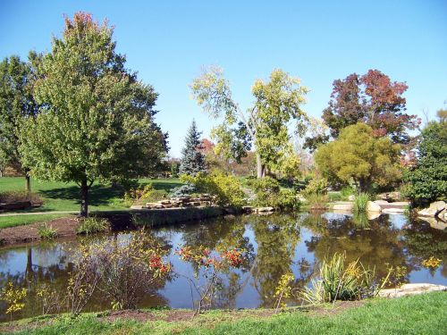 Pond In A Park