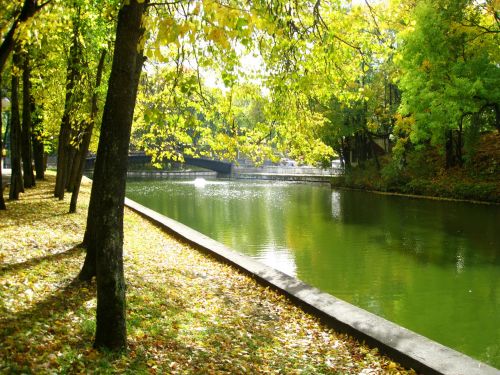 Pond In Lopatinsky  Garden