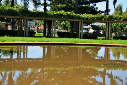 Pond Reflection, Park In Pretoria