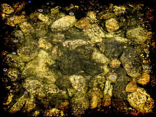 Pond Rocks Grunge Background