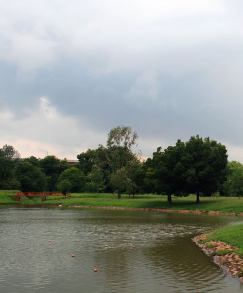 Pond With Trees