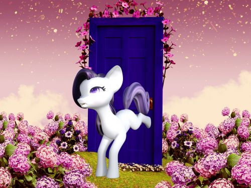 pony kick open door