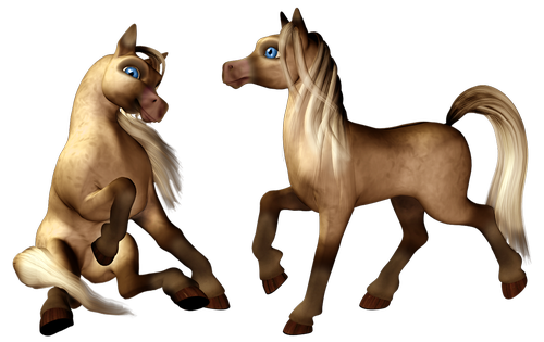 pony  horse  colt