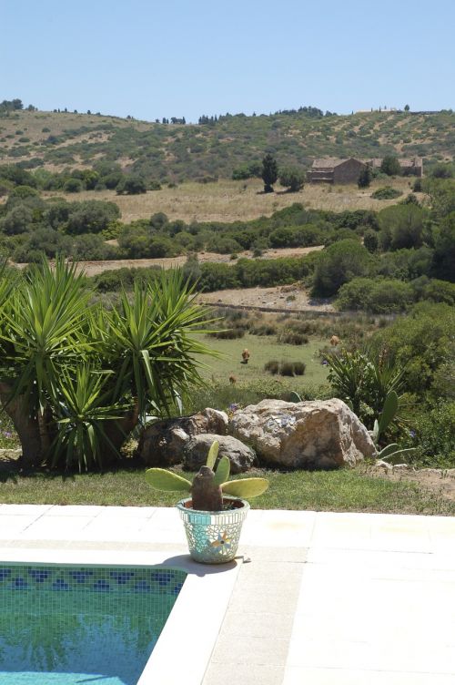 pool landscape summer