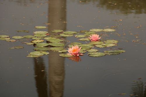 pool water reflection