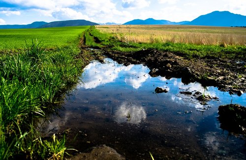 pool  puddle  meadow