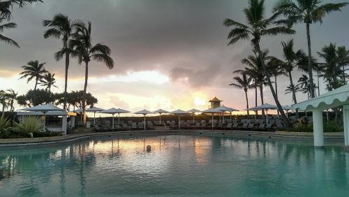 pool swimming swim