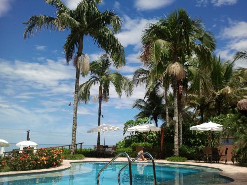 pool holidays palm trees