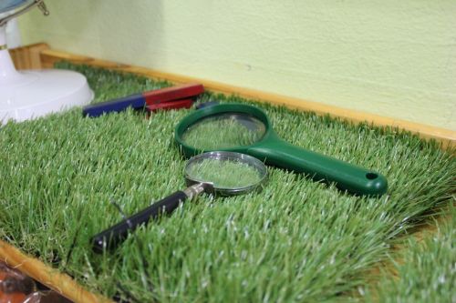 pool magnifying glass children's