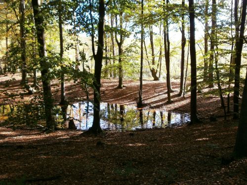 pools schorfheide october