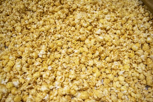 popcorn  gourmet  food