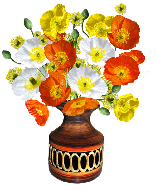 poppies vase flower