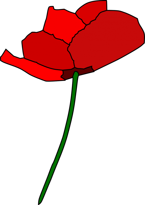 poppy rose red