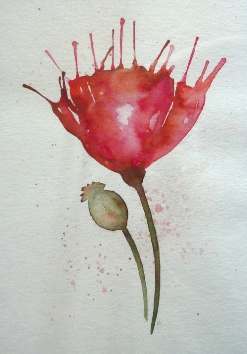 poppy  flower  watercolour