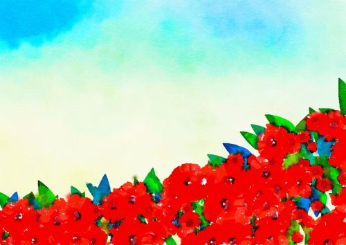 Poppy Field