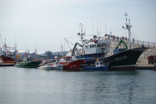 port fishing boat