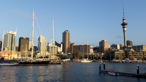 auckland new zealand port