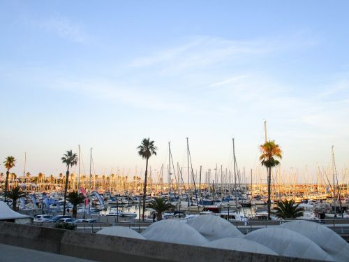 port sunset boats