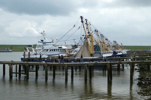 port  fisheries  fishing boats
