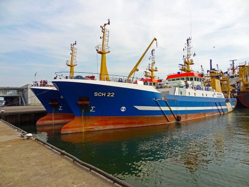 port docks scheveningen