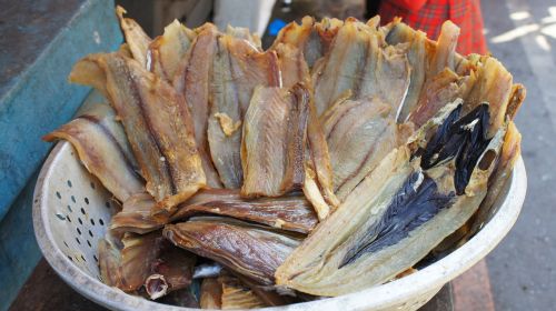 port fisherman's bastion in hong kong fish