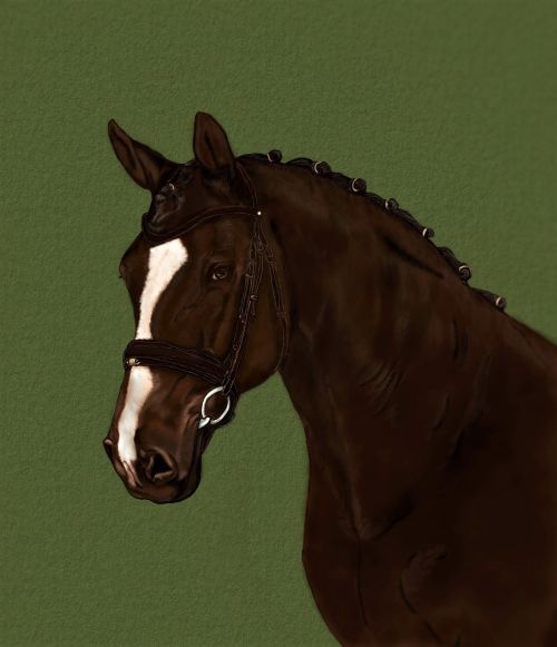 portrait horse brown