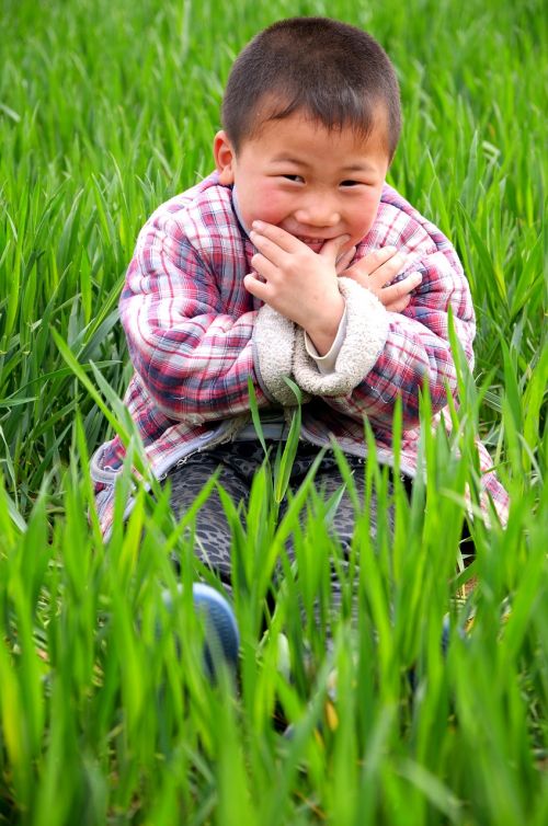 portrait child in wheat field