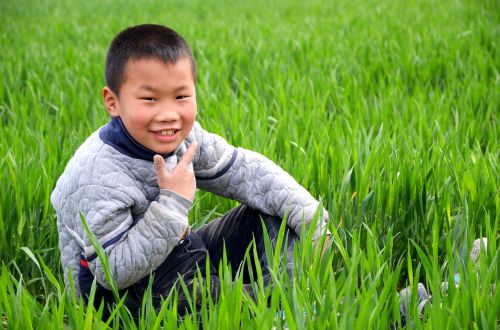 portrait child in wheat field