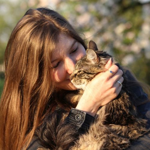 portrait cat young woman