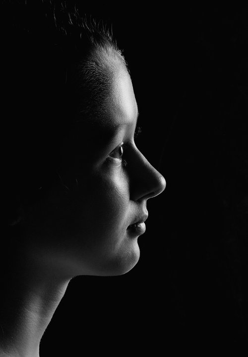 portrait  silhouette  girl