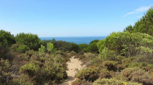 portugal costa da caparica dunes