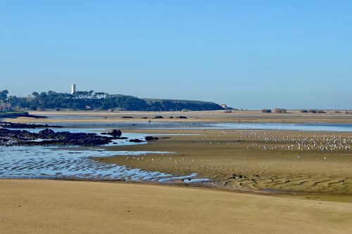 portugal porto delta