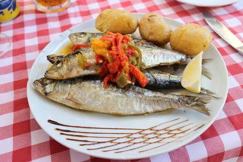portugal  sardines  marine products
