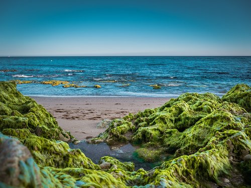 portugal  rock  beach