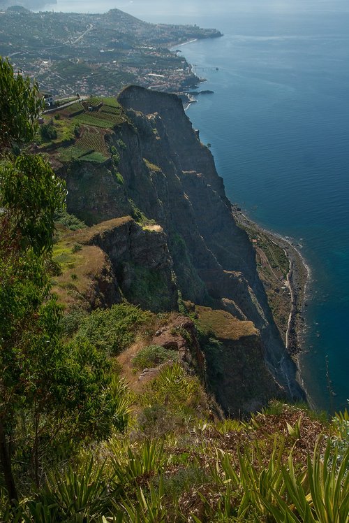 portugal  madeira  cliffs