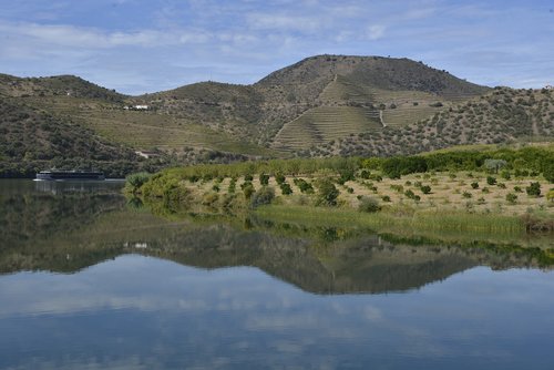 portugal  douro  panorama