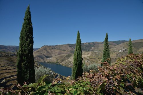 portugal  douro  landscape